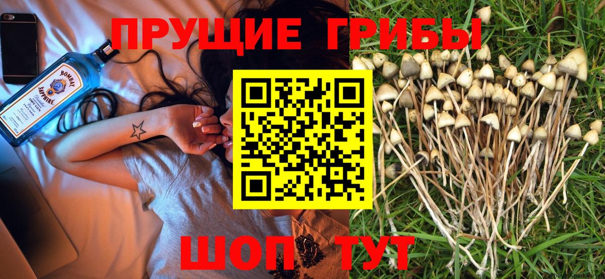 Галлюциногенные грибы ЛСД Протвино
