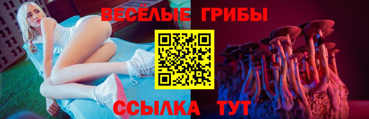 Протвино  Галлюциногенные грибы Psilocybe  Вход с VPN 