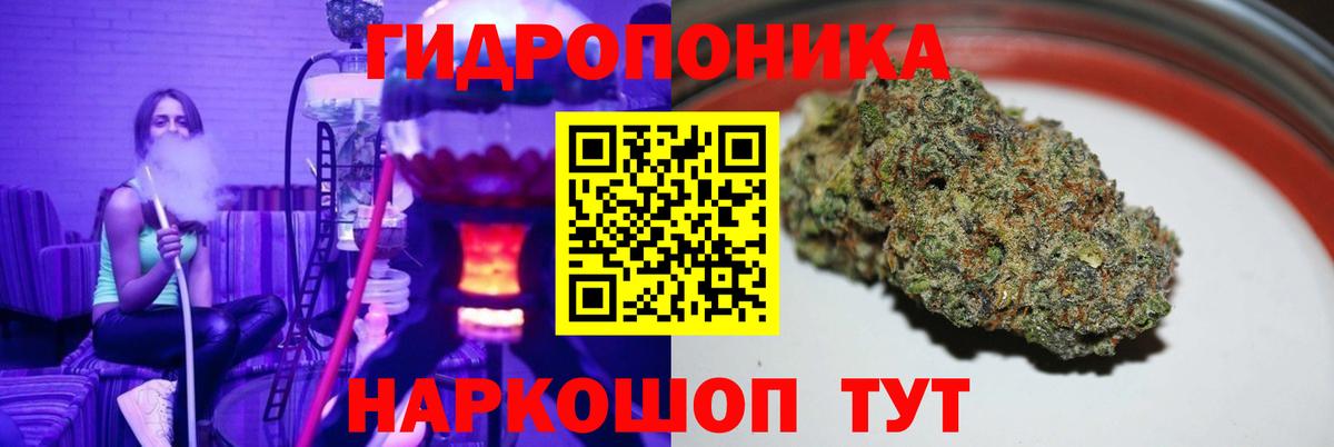 Канабис SATIVA & INDICA  Марихуана планчик  Конопля план  Шишки марихуана семена  Вход с VPN  Протвино 